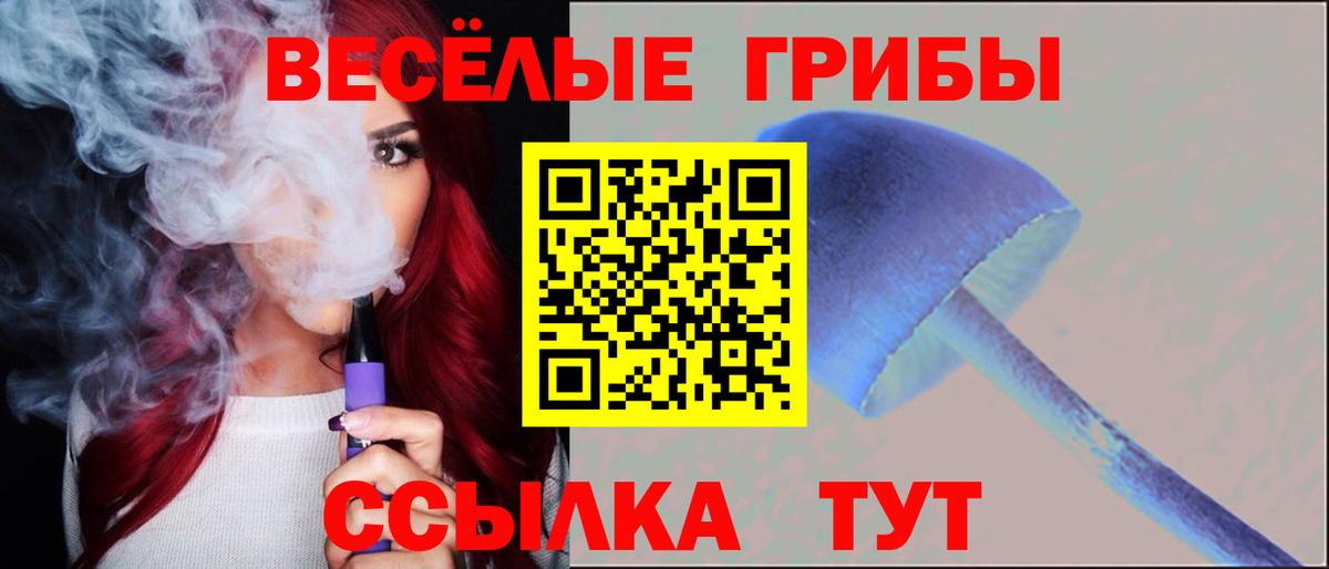 где купить наркоту  Псилоцибиновые грибы ЛСД  Абинск  Вход с VPN  Псилоцибиновые грибы Psilocybe 